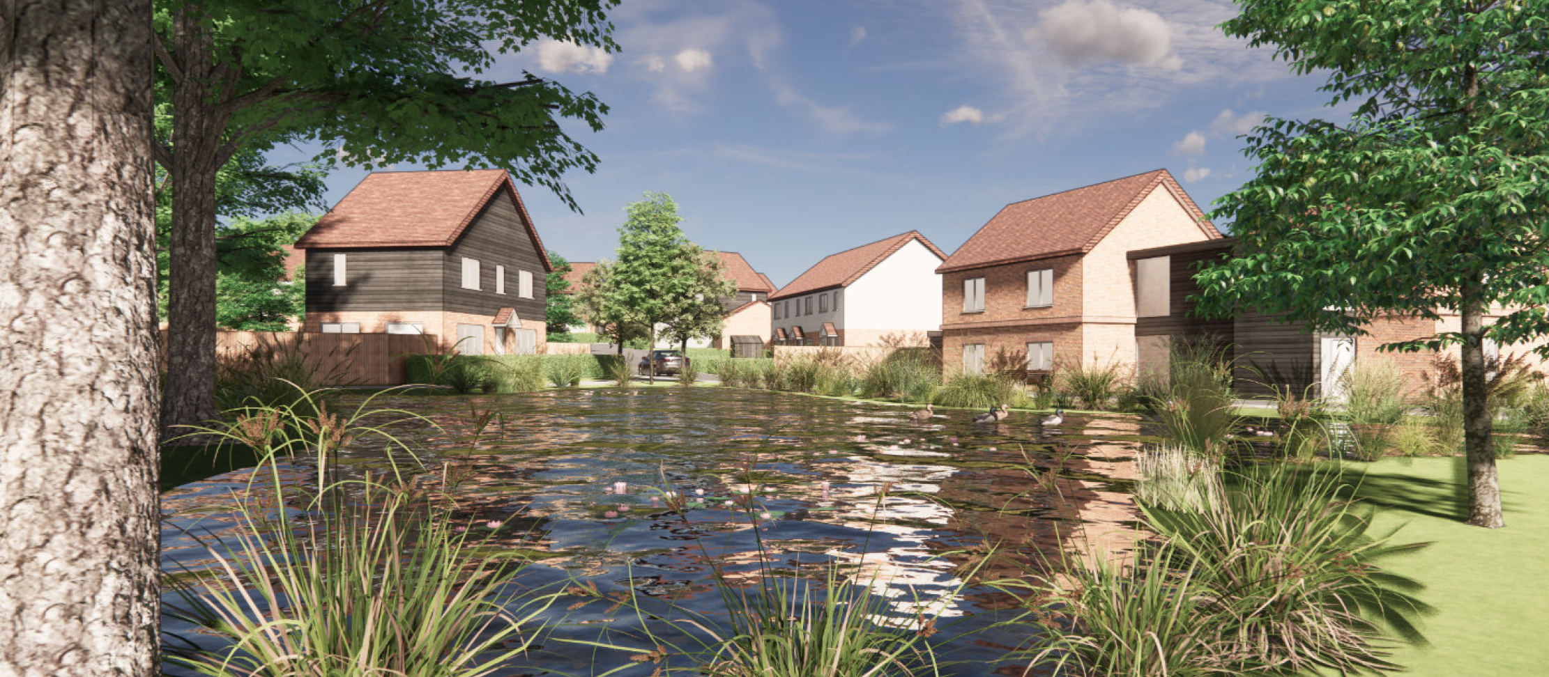 Webster Estates Update: Neighbourhood Plan Allocation & Reserved Matters Application